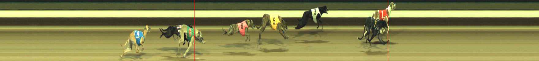 Photo finish for Warragul Race 10