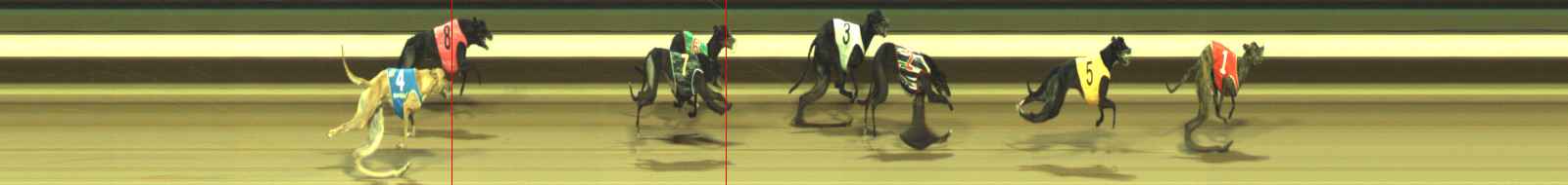 Photo finish for Warragul Race 11