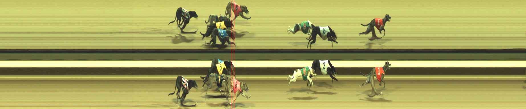Photo finish for Warragul Race 12