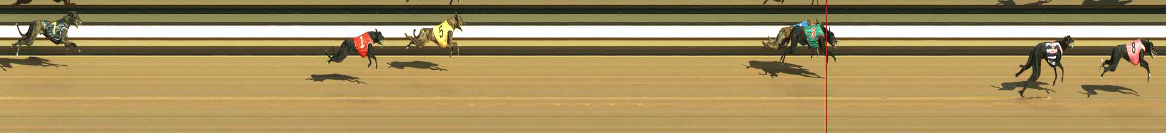 Photo finish for Warragul Race 1