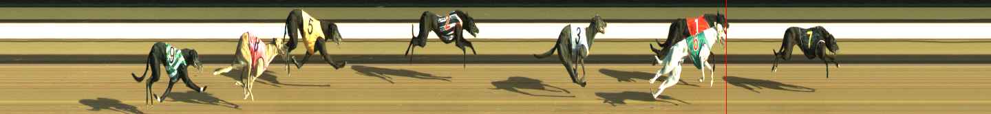 Photo finish for Warragul Race 4