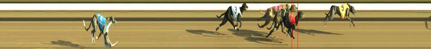 Photo finish for Warragul Race 5