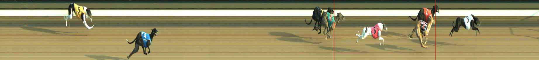 Photo finish for Warragul Race 6