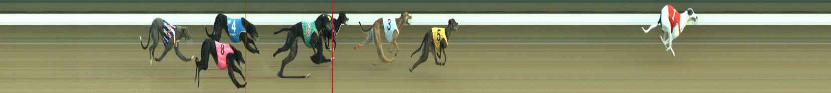 Photo finish for Warragul Race 8