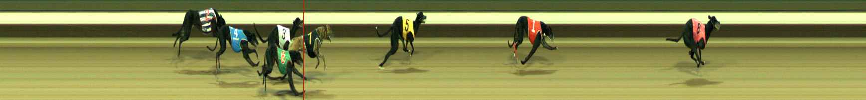 Photo finish for Warragul Race 10