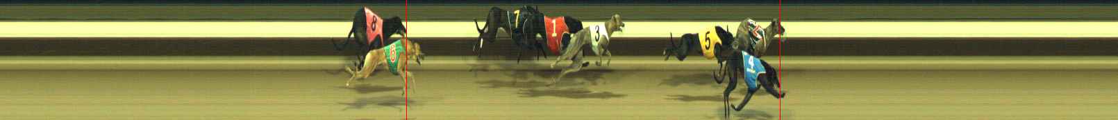 Photo finish for Warragul Race 11