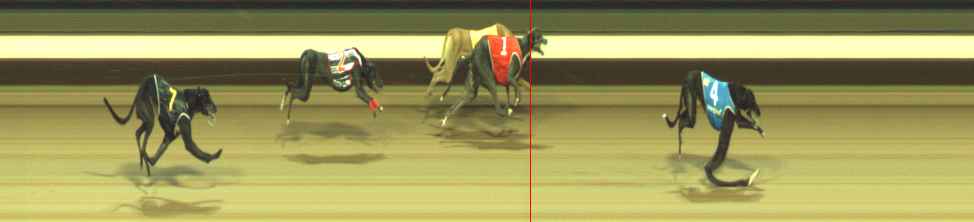 Photo finish for Warragul Race 10
