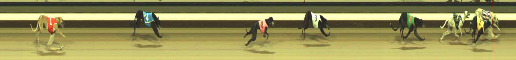 Photo finish for Warragul Race 1