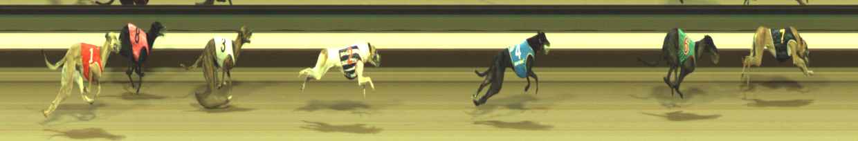 Photo finish for Warragul Race 4