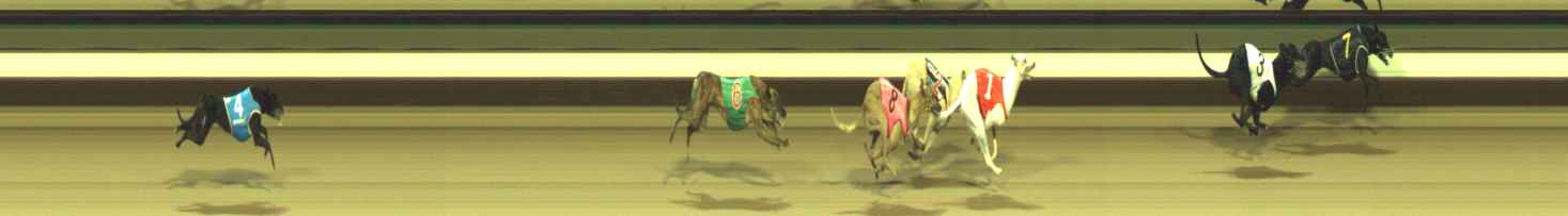 Photo finish for Warragul Race 5