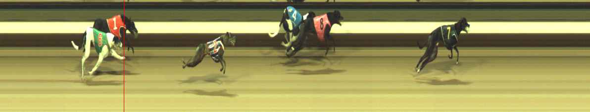 Photo finish for Warragul Race 6
