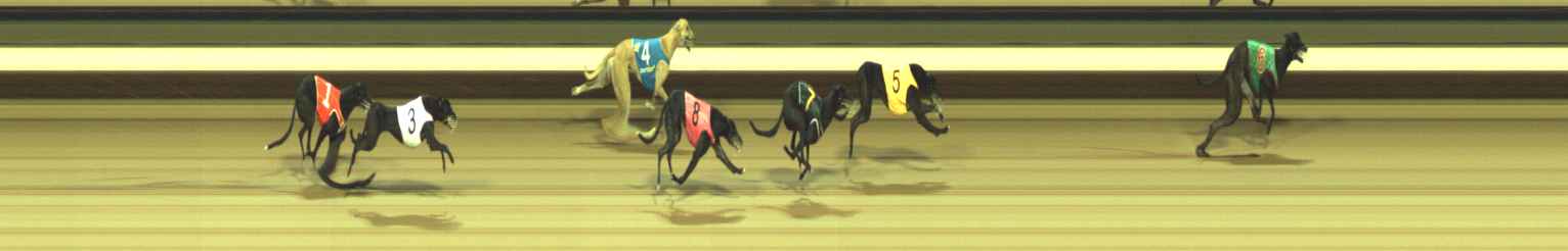 Photo finish for Warragul Race 7