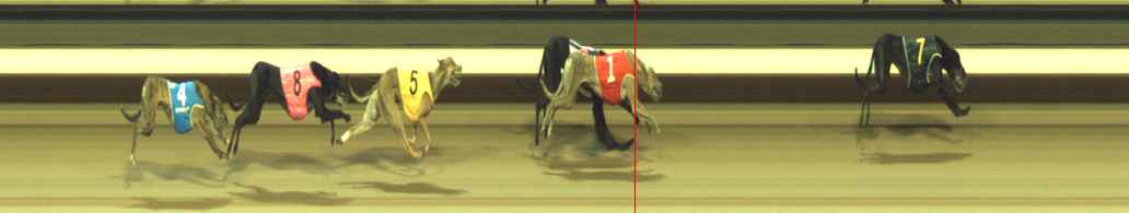 Photo finish for Warragul Race 8