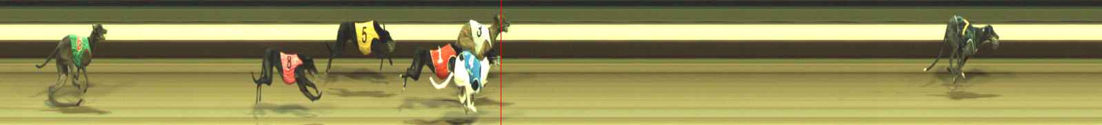 Photo finish for Warragul Race 9