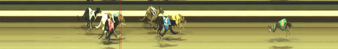 Photo finish for Warragul Race 11