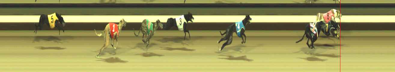 Photo finish for Warragul Race 12