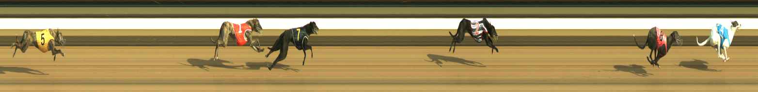 Photo finish for Warragul Race 1