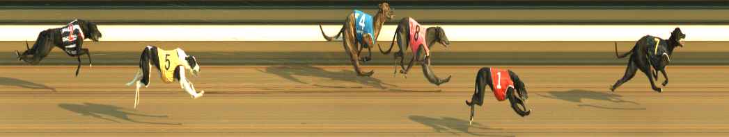 Photo finish for Warragul Race 3
