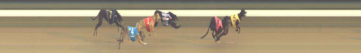 Photo finish for Warragul Race 5