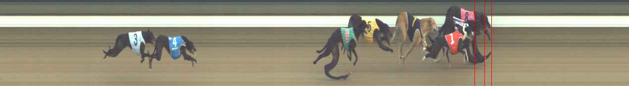 Photo finish for Warragul Race 6