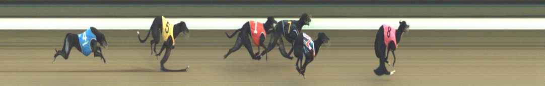 Photo finish for Warragul Race 7