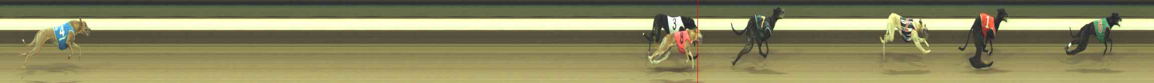 Photo finish for Warragul Race 8