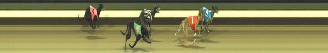 Photo finish for Warragul Race 9