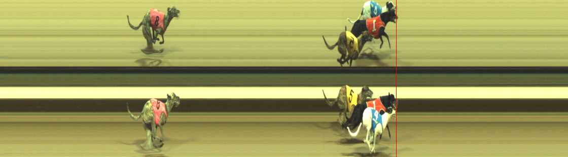 Photo finish for Warragul Race 10