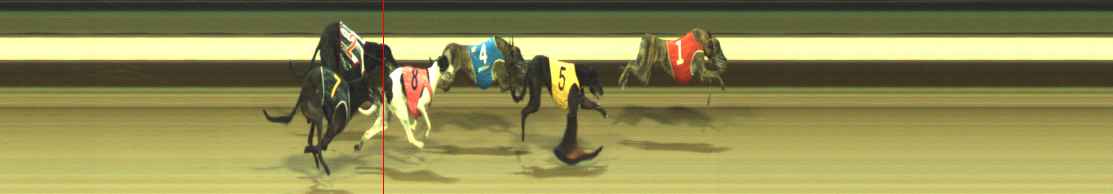Photo finish for Warragul Race 11