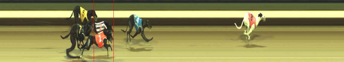 Photo finish for Warragul Race 12