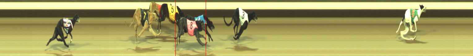 Photo finish for Warragul Race 1