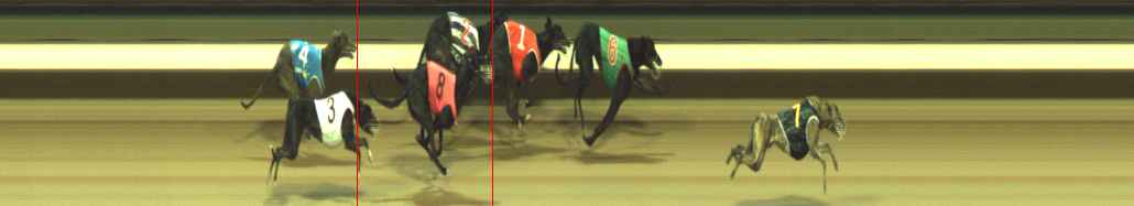 Photo finish for Warragul Race 3