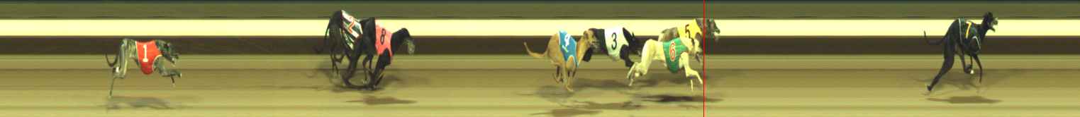 Photo finish for Warragul Race 5