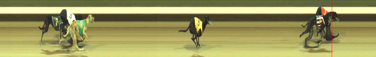 Photo finish for Warragul Race 7