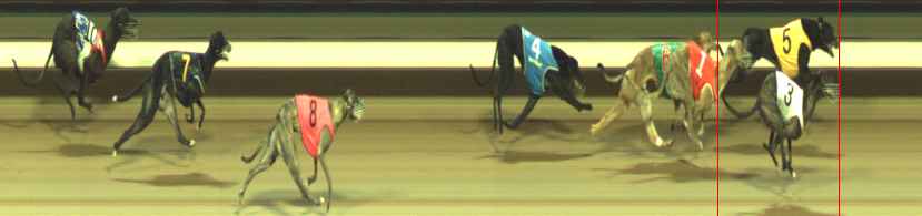 Photo finish for Warragul Race 8