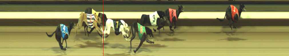 Photo finish for Warragul Race 10