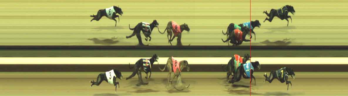 Photo finish for Warragul Race 11