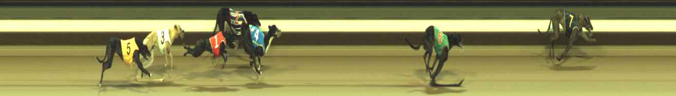 Photo finish for Warragul Race 12