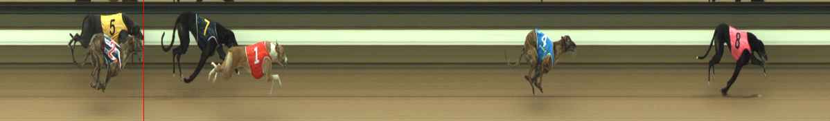 Photo finish for Warragul Race 1