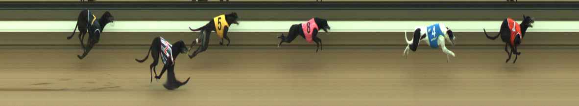 Photo finish for Warragul Race 2