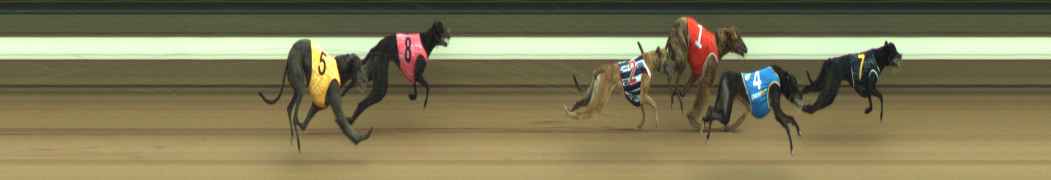 Photo finish for Warragul Race 4