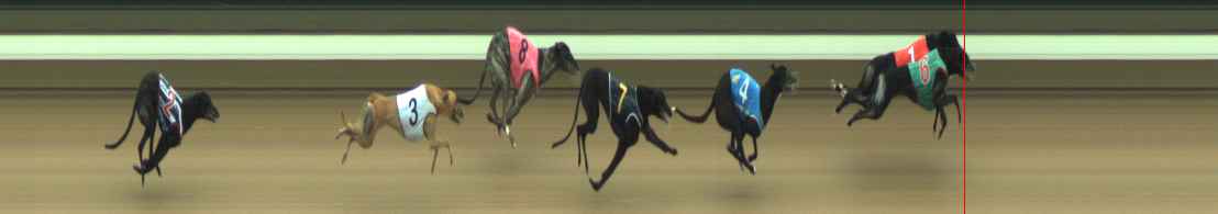 Photo finish for Warragul Race 5