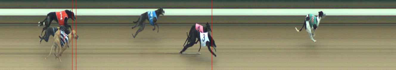 Photo finish for Warragul Race 6