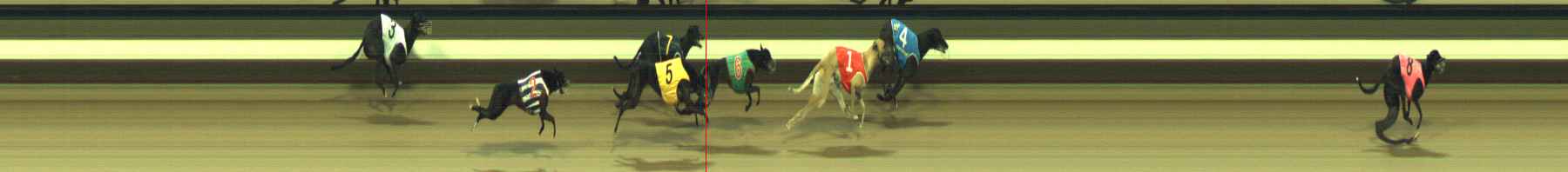 Photo finish for Warragul Race 8