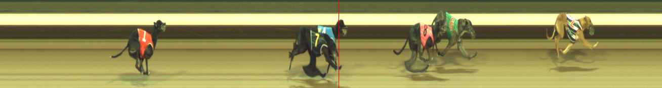 Photo finish for Warragul Race 10