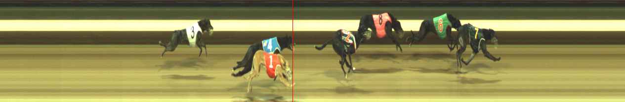 Photo finish for Warragul Race 11
