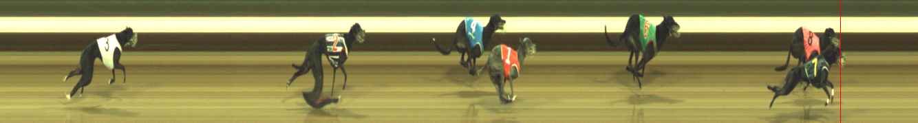 Photo finish for Warragul Race 12