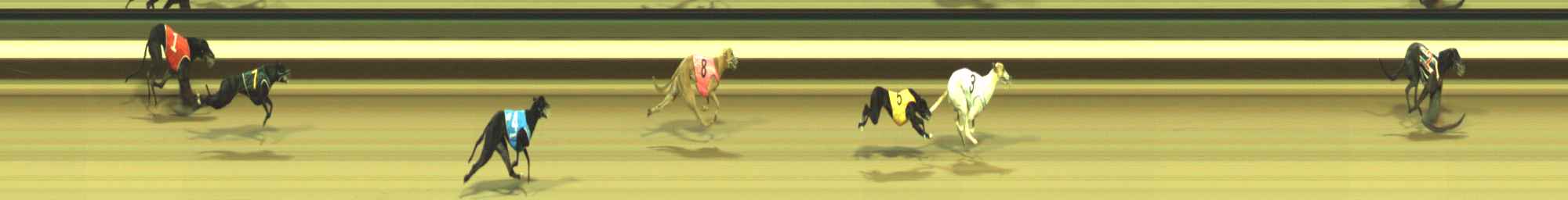 Photo finish for Warragul Race 1