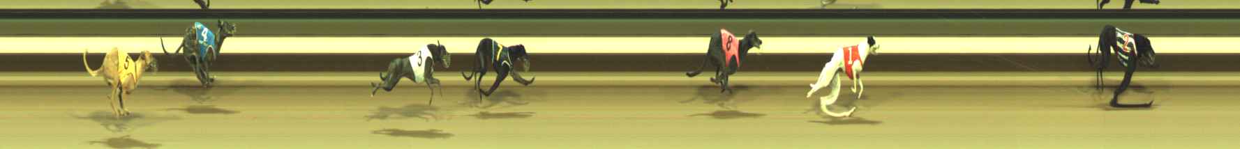 Photo finish for Warragul Race 2