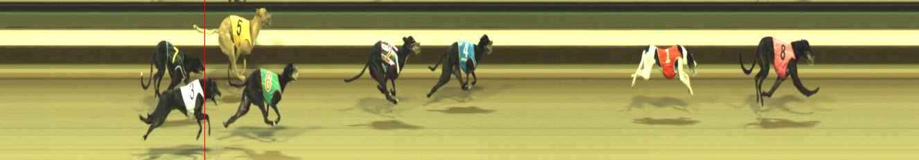 Photo finish for Warragul Race 3